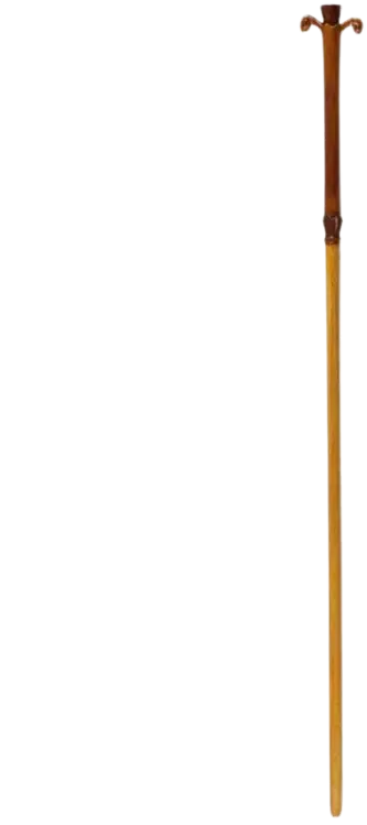 baguette de Gilderoy Lockhart