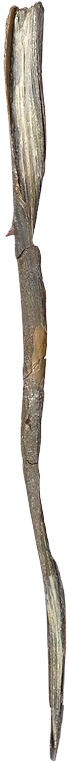 baguette de Gellert Grindelwald