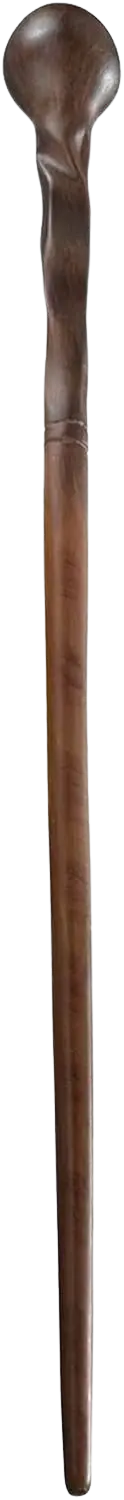 baguette de Remus Lupin