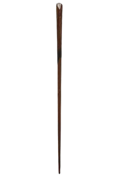 baguette de Norbert Scamander